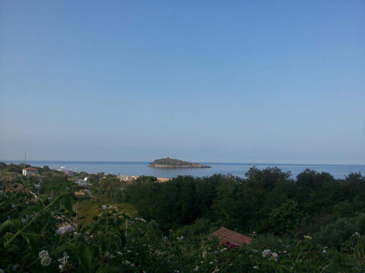 Hotel Villa Cerelis Diamante Buitenkant foto